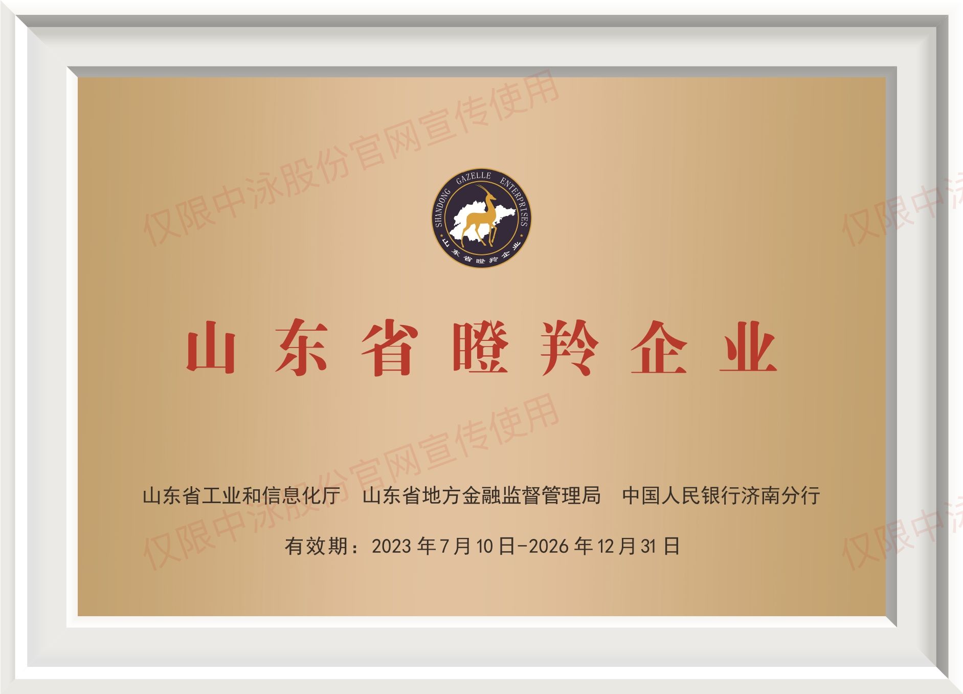 山东省瞪羚企业